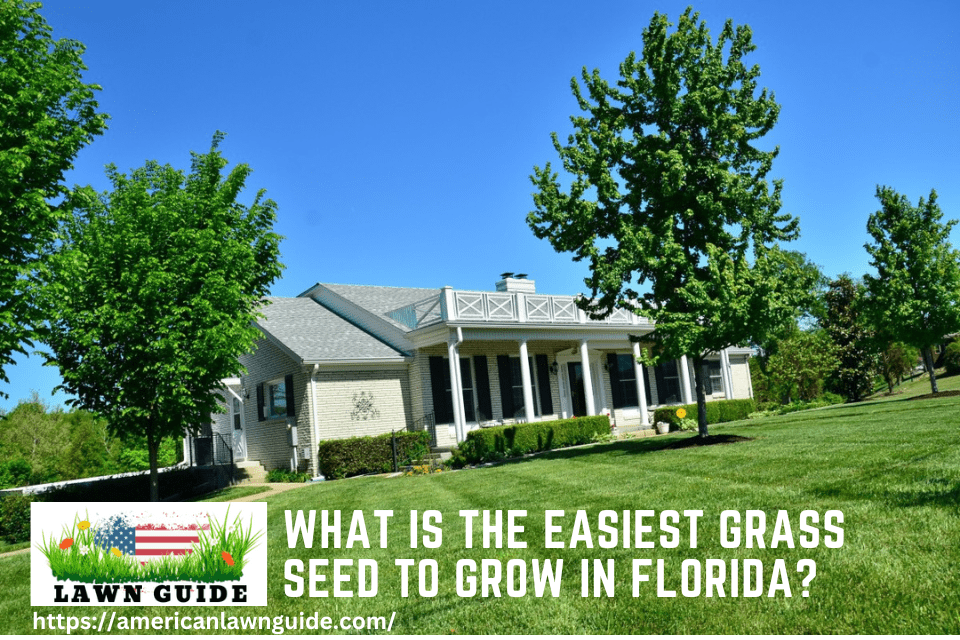 What Is The Easiest Grass Seed To Grow In Florida