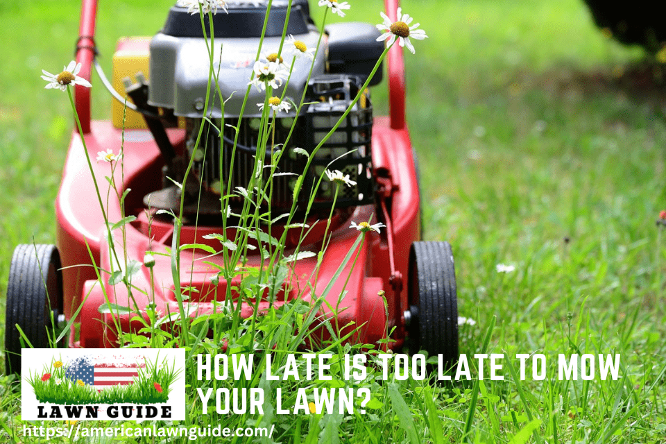 How Late Is Too Late to Mow Your Lawn
