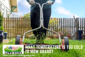 What Temperature Is Too Cold To Mow Grass