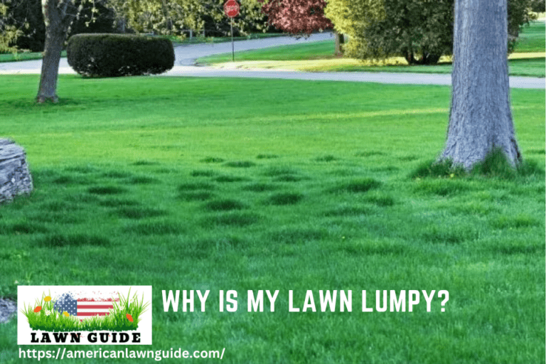 Why is My Lawn Lumpy