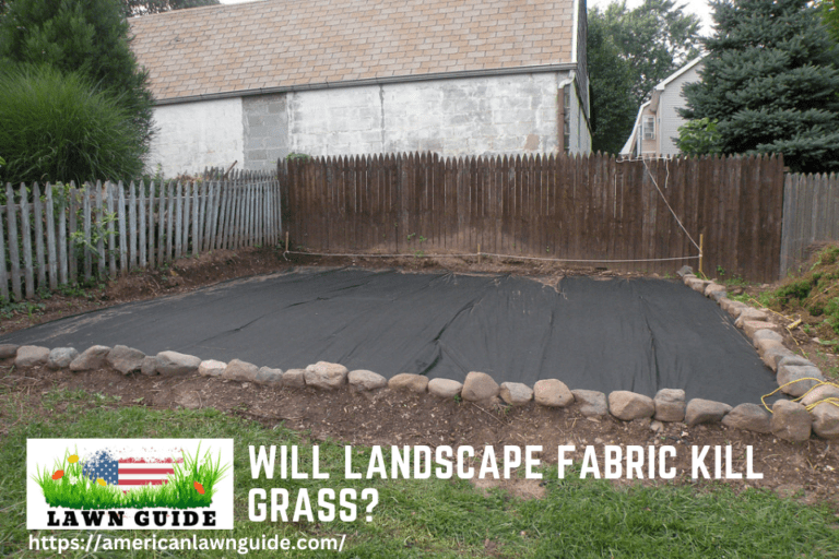 Will Landscape Fabric Kill Grass