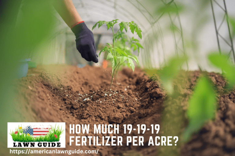 How Much 19-19-19 Fertilizer Per Acre