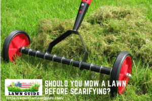 Should You Mow a Lawn Before Scarifying