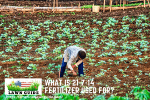 What Is 21-7-14 Fertilizer Used For