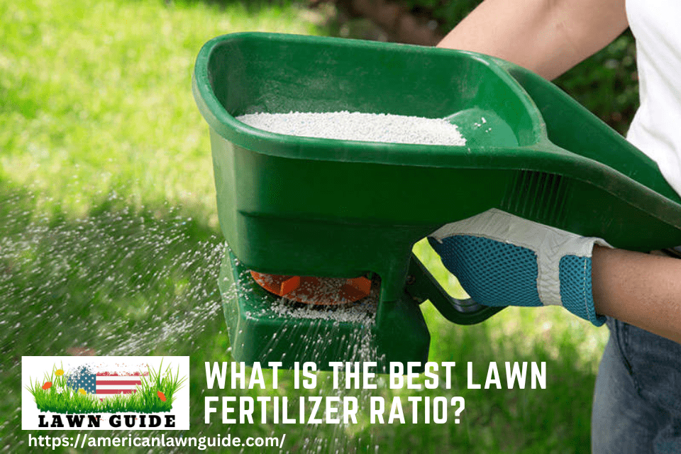 What is the Best Lawn Fertilizer Ratio