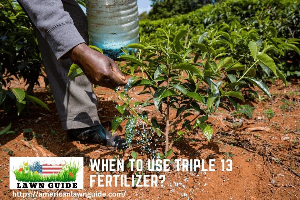 When To Use Triple 13 Fertilizer