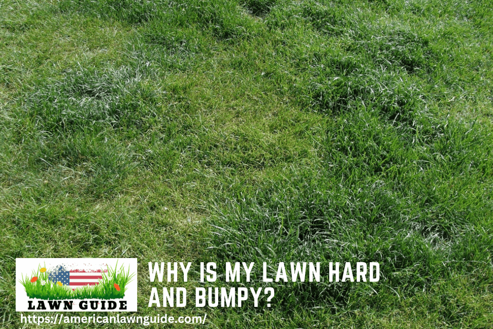 Why Is My Lawn Hard And Bumpy