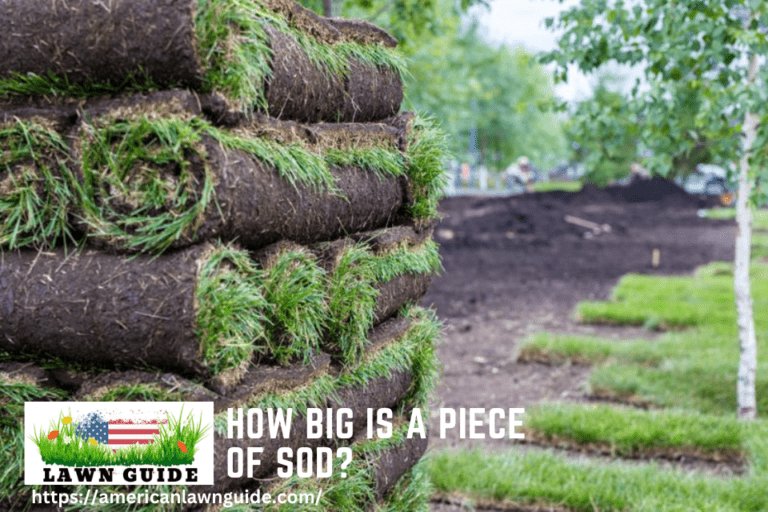 How Big is a Piece of Sod