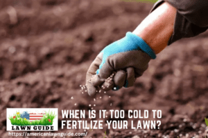When Is It Too Cold To Fertilize Your Lawn