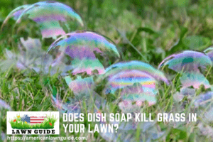 Does Dish Soap Kill Grass in Your Lawn
