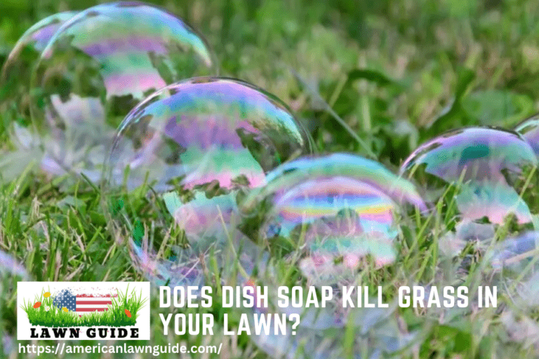 Does Dish Soap Kill Grass in Your Lawn