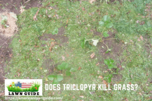 Does Triclopyr Kill Grass