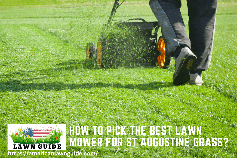 How to Pick the Best Lawn Mower for St Augustine Grass