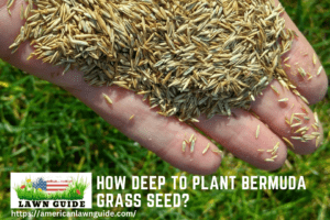 How Deep to Plant Bermuda Grass Seed?